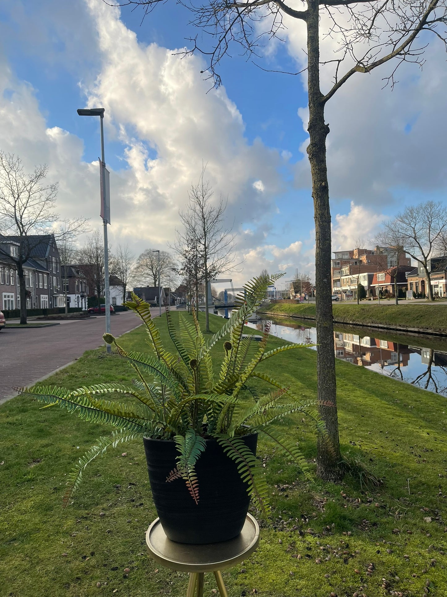 Zijde Arrangement - Nature's Touch